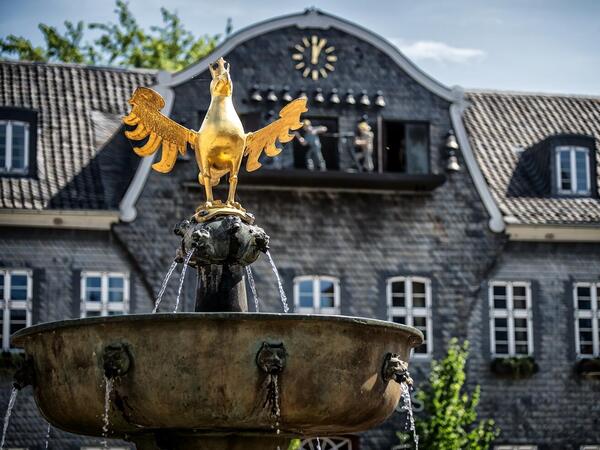 Goslar Kaiserringhaus und der Goldene Adler auf dem Brunnen von vorne fotografiert